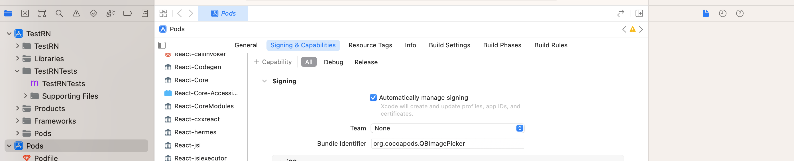 Signing and Capabilites tab in Xcode to run on ios simulator